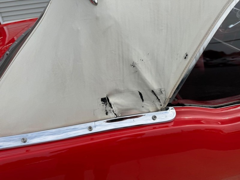Ford Mustang Vehicle Image 13