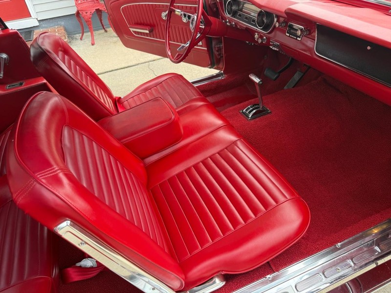 Ford Mustang Vehicle Image 16