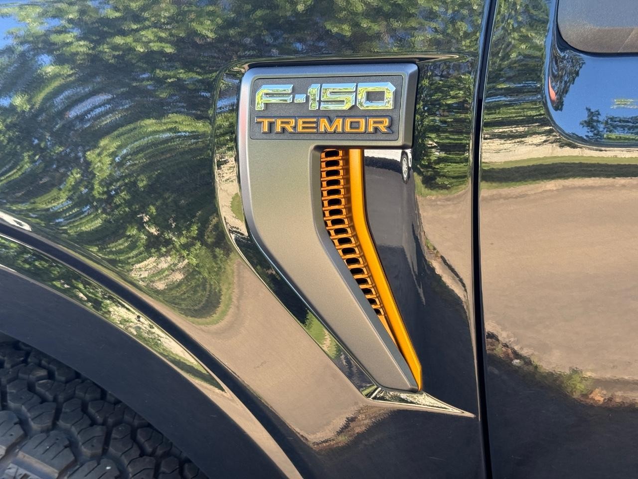 2022 Agate Black Metallic Ford F-150 Tremor 4X4 Truck