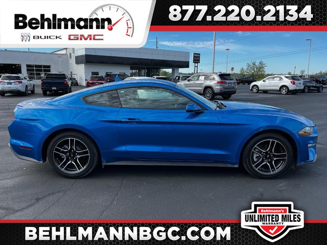 2021 Ford Mustang EcoBoost Premium at Behlmann Buick GMC in Troy MO