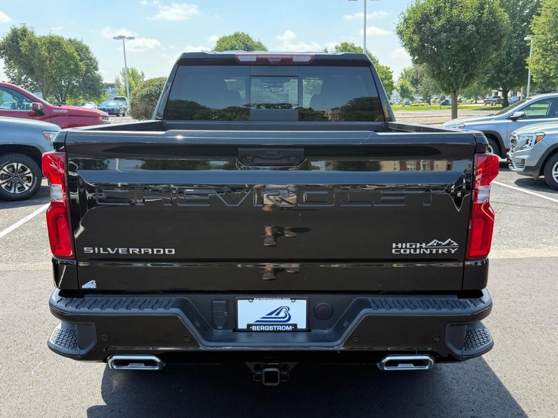 Chevrolet Silverado 1500 Vehicle Image 04
