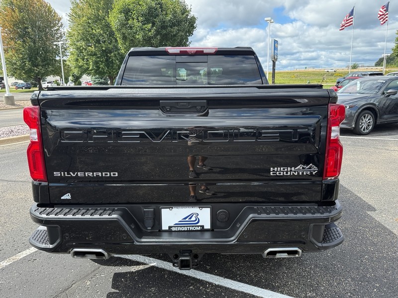 Chevrolet Silverado 1500 Vehicle Image 04