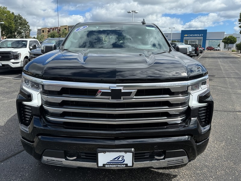 Chevrolet Silverado 1500 Vehicle Image 09