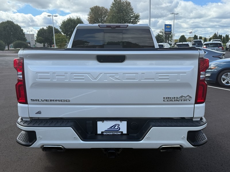 Chevrolet Silverado 1500 Vehicle Image 04