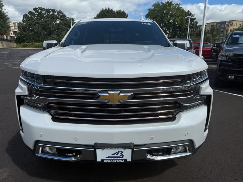 Chevrolet Silverado 1500 Vehicle Image 09