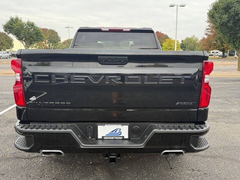 Chevrolet Silverado 1500 Vehicle Image 04