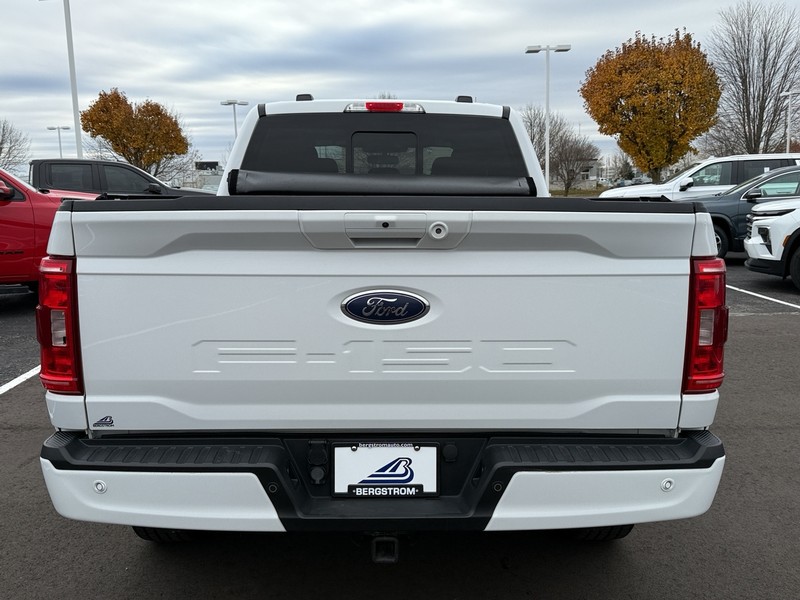 Ford F-150 Vehicle Image 04