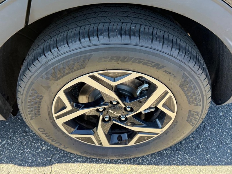 Kia Sportage Vehicle Image 07