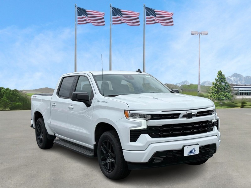 Chevrolet Silverado 1500 Vehicle Full-screen Gallery Image 01