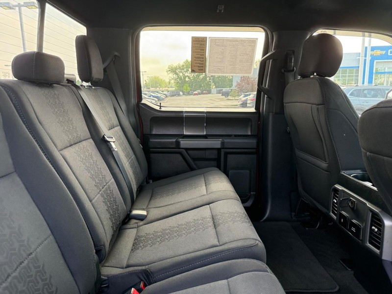 Ford F-150 Vehicle Image 10
