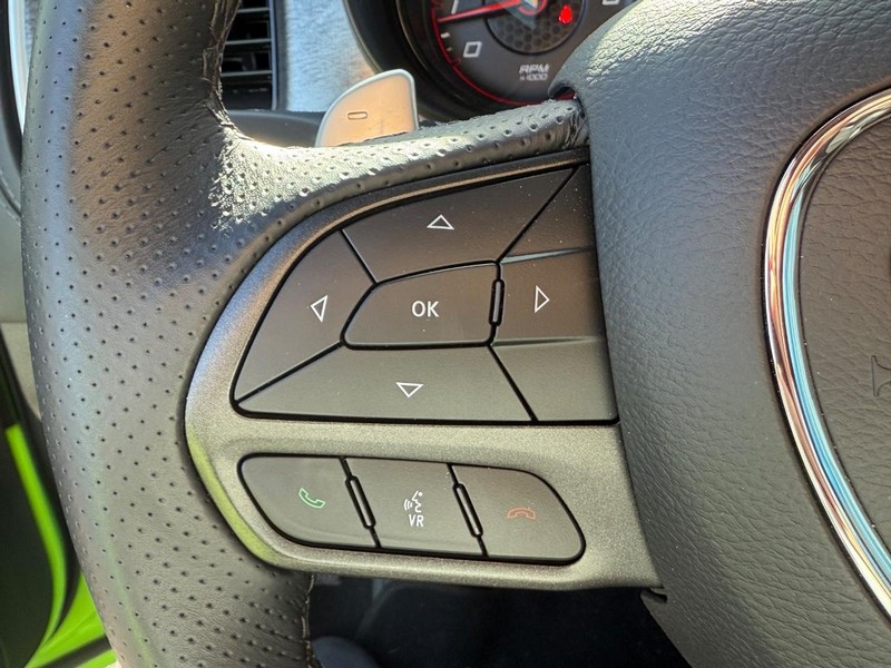 Dodge Charger Vehicle Image 15