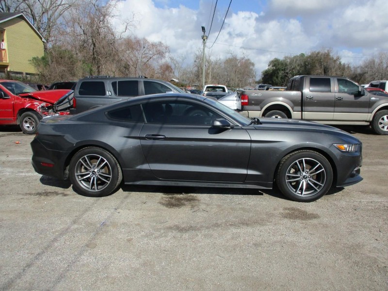 Ford Mustang Vehicle Image 05