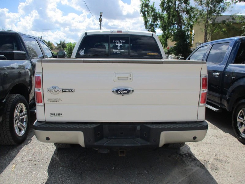 Ford F-150 Vehicle Image 05