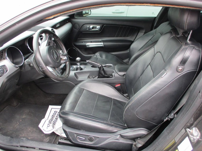 Ford Mustang Vehicle Image 06