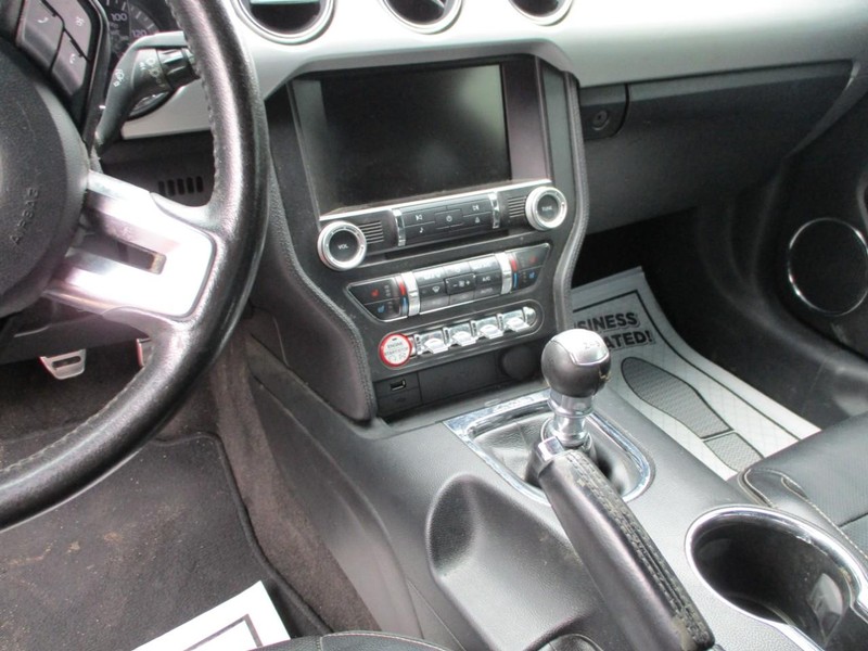 Ford Mustang Vehicle Image 08