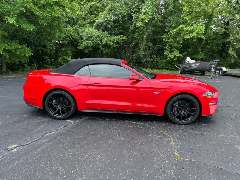 Ford Mustang Vehicle Image 02