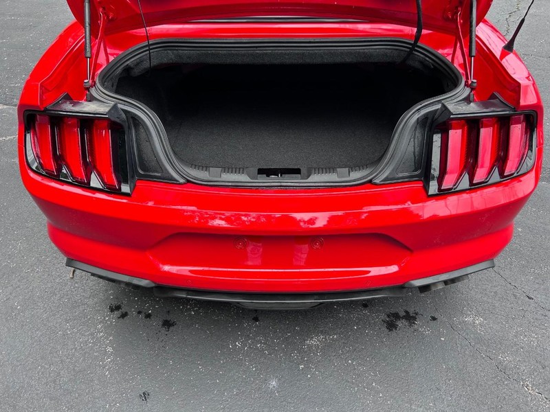 Ford Mustang Vehicle Image 06