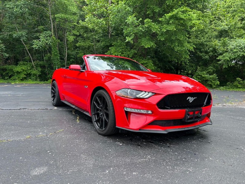 Ford Mustang Vehicle Image 07