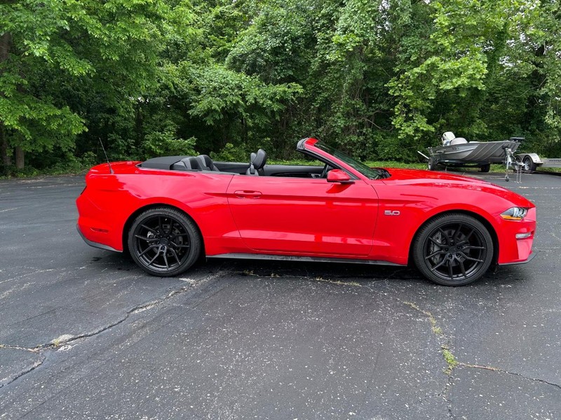 Ford Mustang Vehicle Image 08