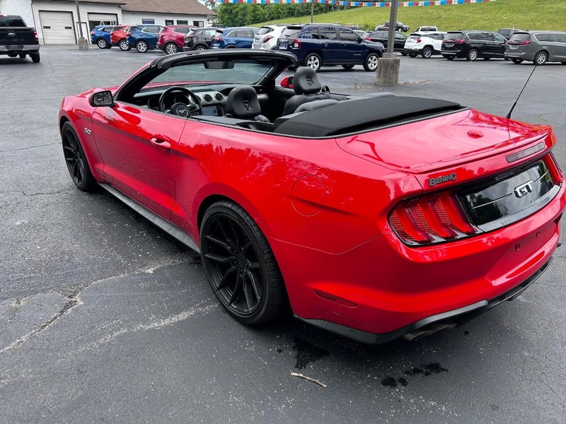 Ford Mustang Vehicle Image 11