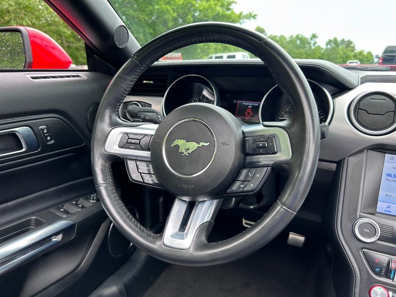 Ford Mustang Vehicle Image 14