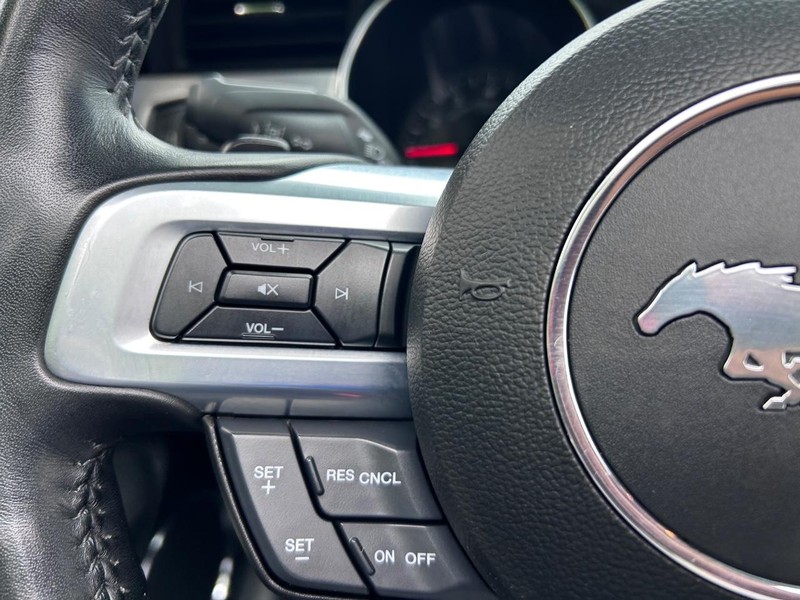 Ford Mustang Vehicle Image 15