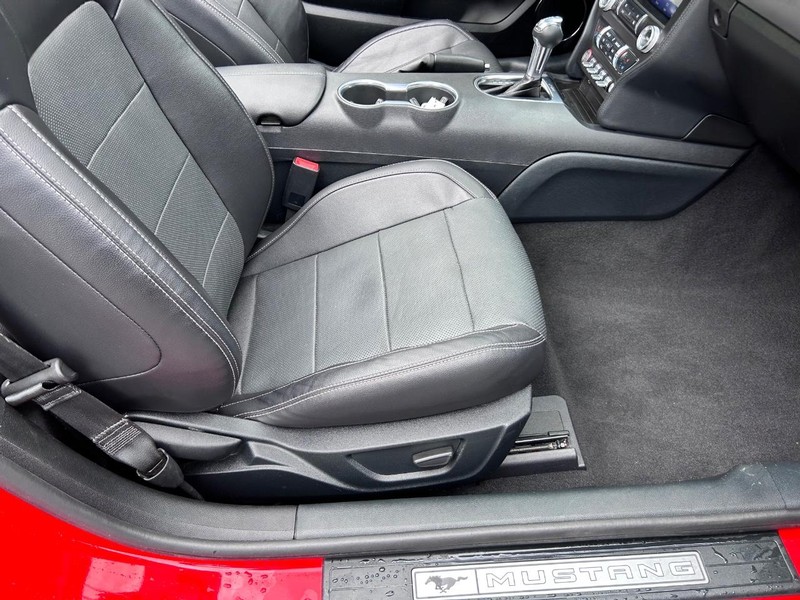 Ford Mustang Vehicle Image 20