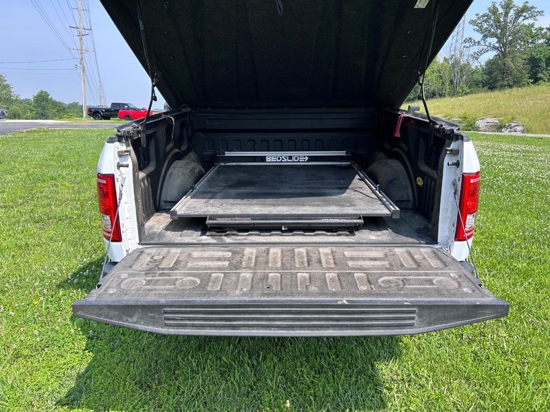 Ford F-150 Vehicle Image 05
