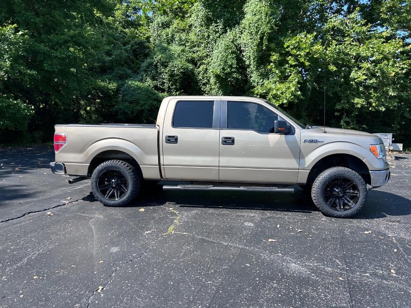 Ford F-150 Vehicle Image 02