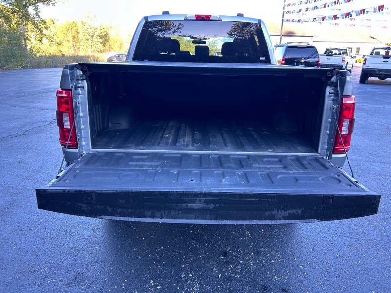 Ford F-150 Vehicle Image 05