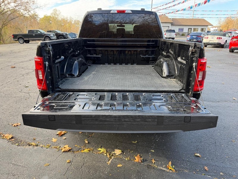 Ford F-150 Vehicle Image 05