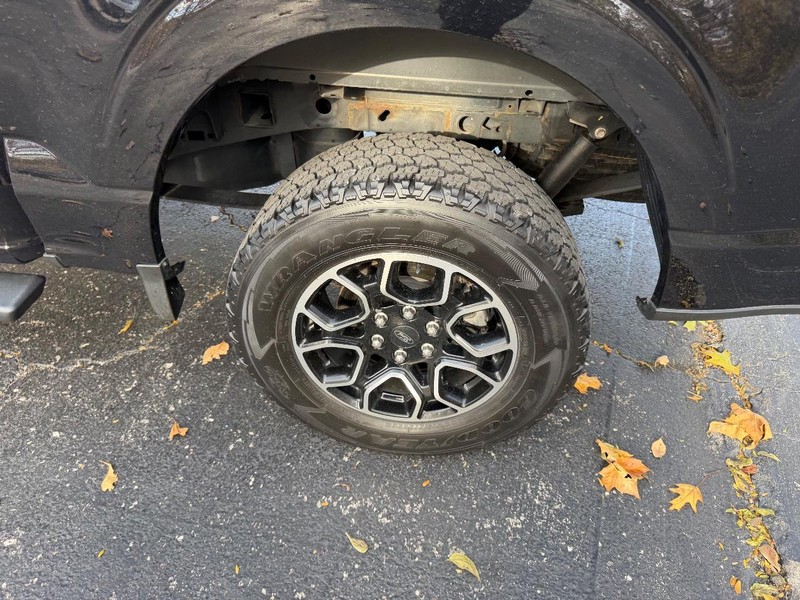 Ford F-150 Vehicle Image 06