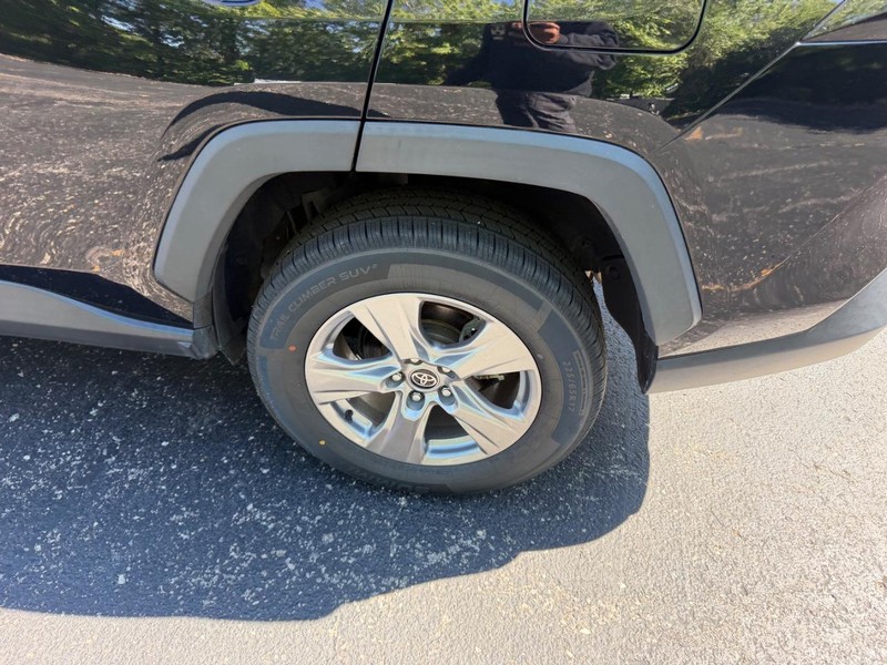 Toyota RAV4 Vehicle Image 06