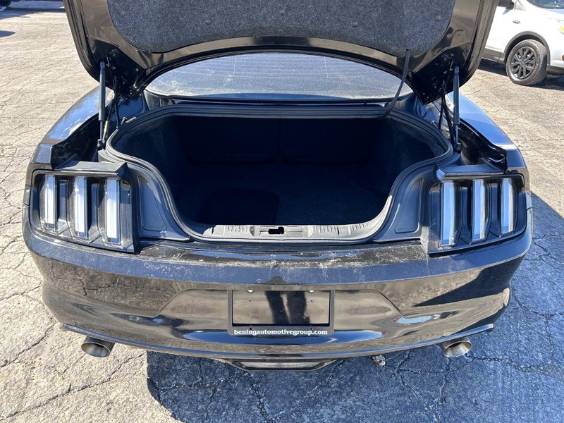 Ford Mustang Vehicle Image 05
