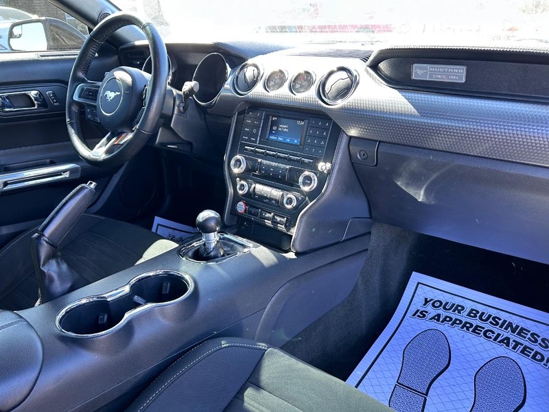 Ford Mustang Vehicle Image 10