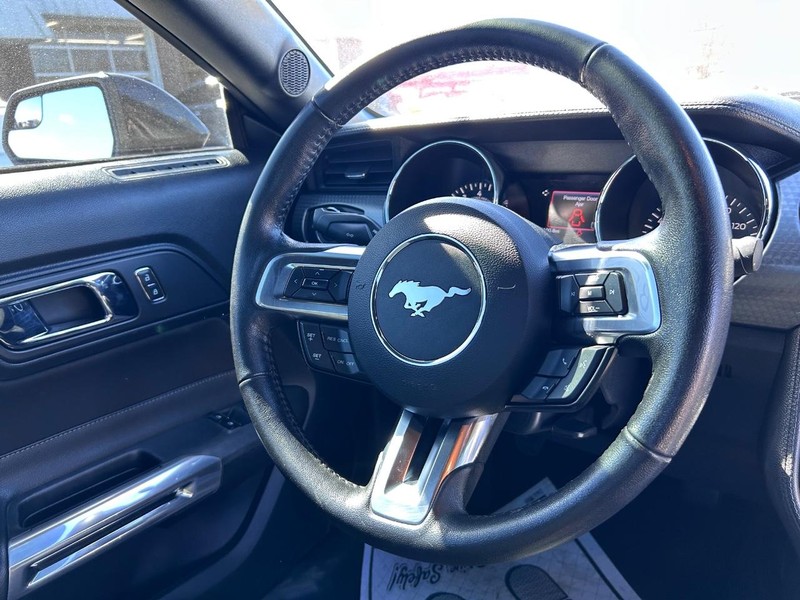 Ford Mustang Vehicle Image 11