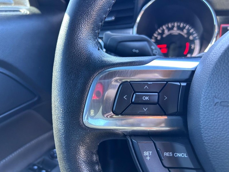 Ford Mustang Vehicle Image 12