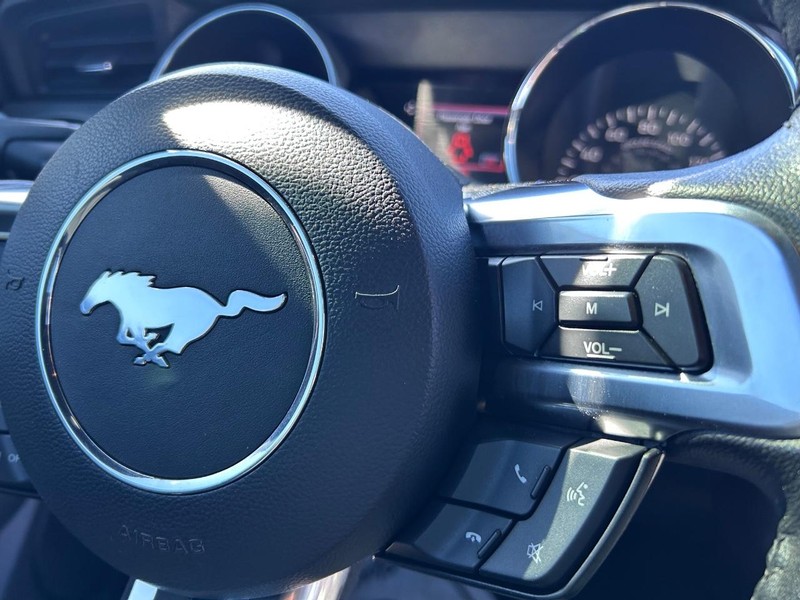 Ford Mustang Vehicle Image 13