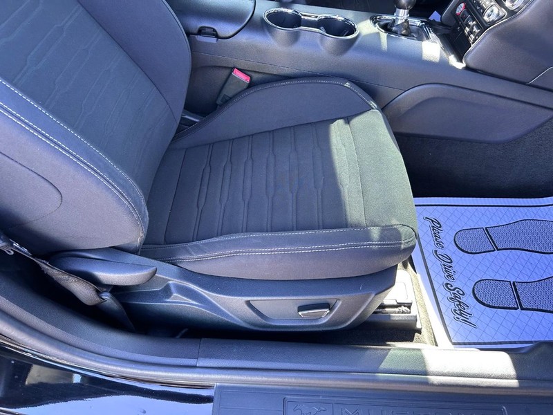 Ford Mustang Vehicle Image 17