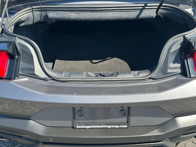 Ford Mustang Vehicle Image 10
