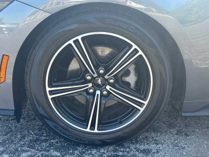 Ford Mustang Vehicle Image 11