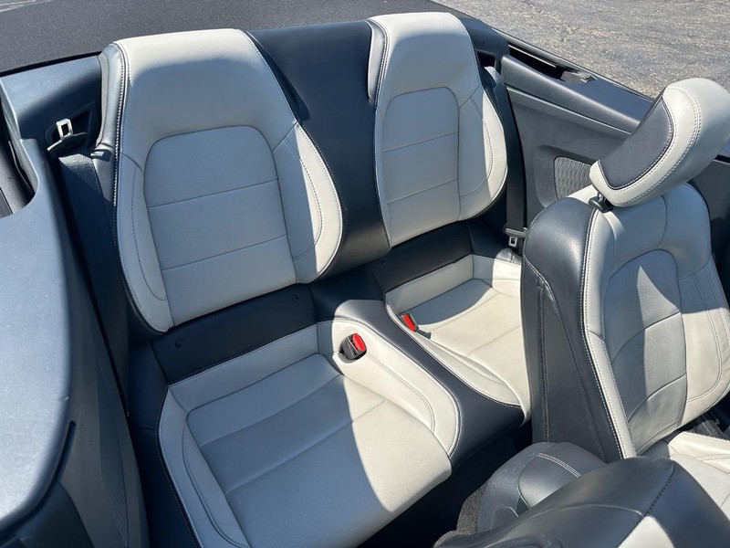 Ford Mustang Vehicle Image 12