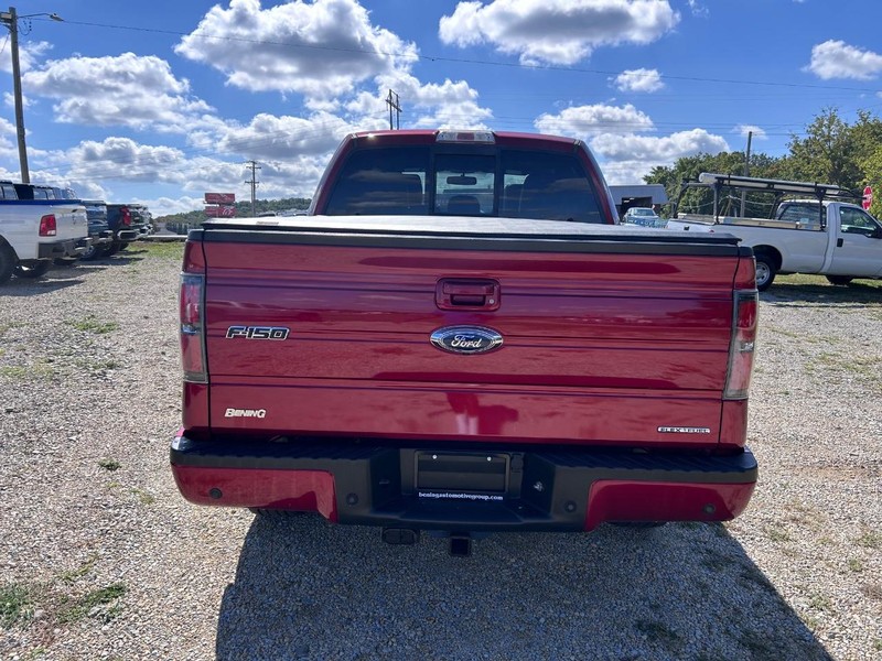 Ford F-150 Vehicle Image 04