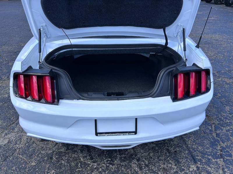 Ford Mustang Vehicle Image 05