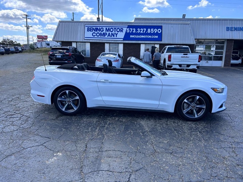 Ford Mustang Vehicle Image 08
