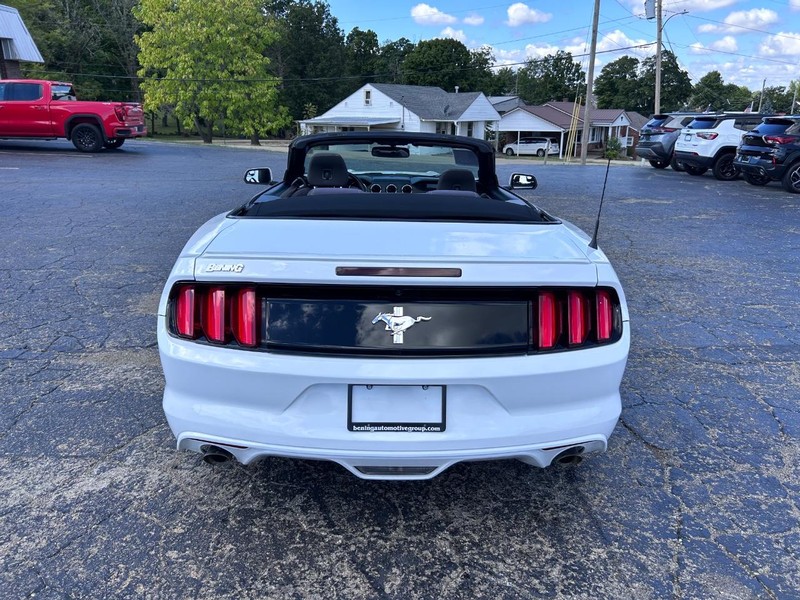 Ford Mustang Vehicle Image 10