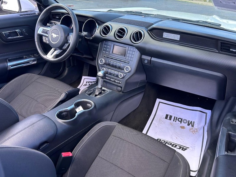 Ford Mustang Vehicle Image 12