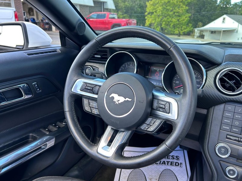 Ford Mustang Vehicle Image 13