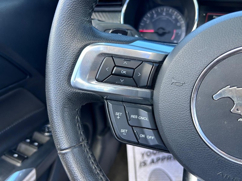 Ford Mustang Vehicle Image 14