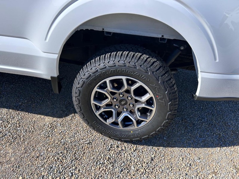 Ford F-150 Vehicle Image 06